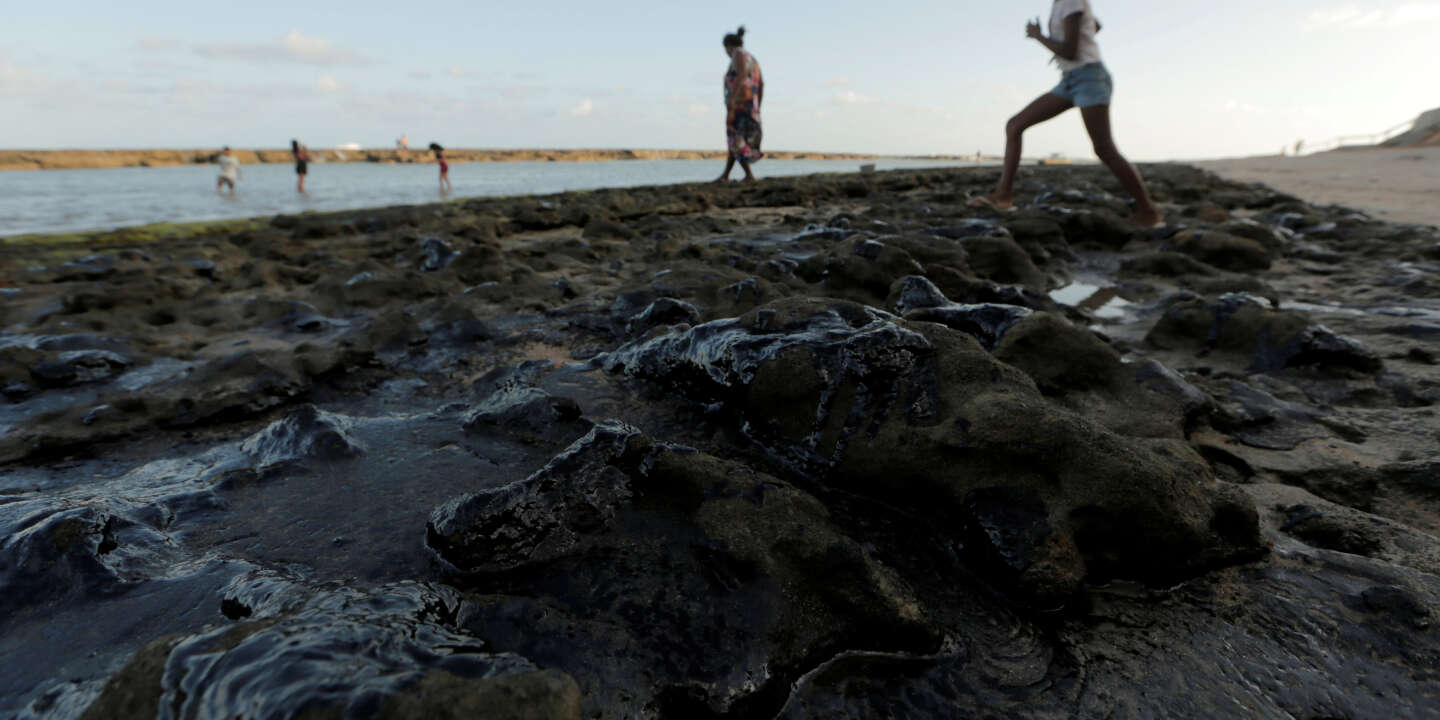 Venezuela : Une mystérieuse marée noire ravage les côtes touristiques du nord-ouest